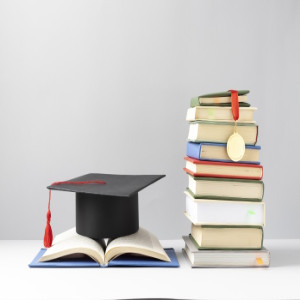 MEC Scholarships